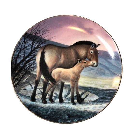 The Bradford Exchange Other - Przewalski’s Horse Bradford Exchange Plate